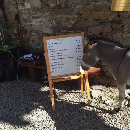 Valliera Апартаменты *