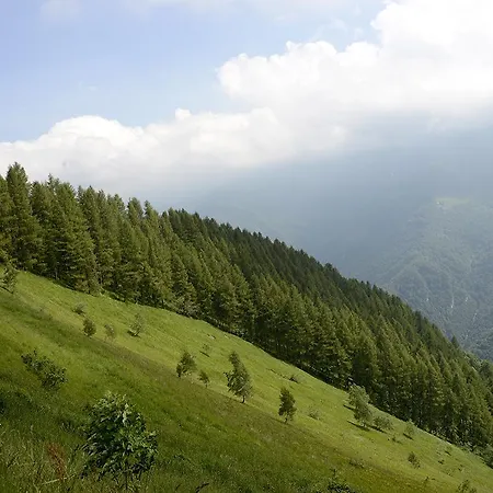 Valliera Апартаменты