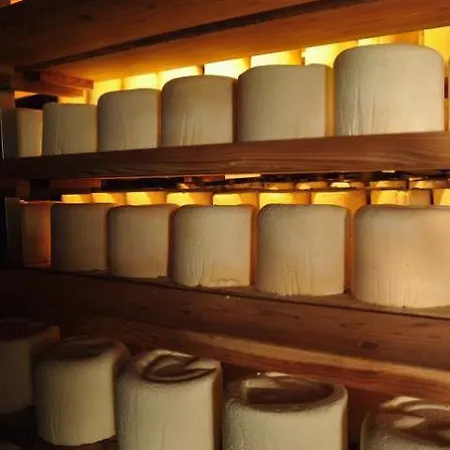 Valliera * Castelmagno